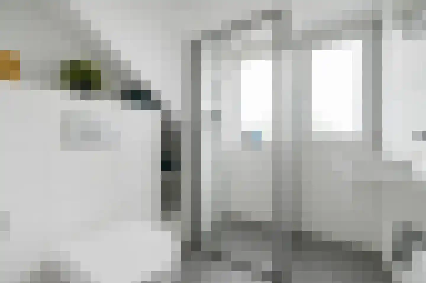 Damsigtstraat 56 Voorburg thumbnail 64