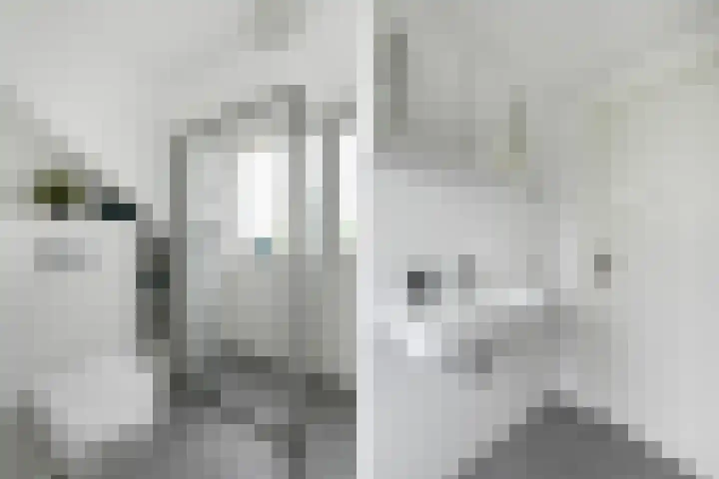 Damsigtstraat 56 Voorburg thumbnail 65