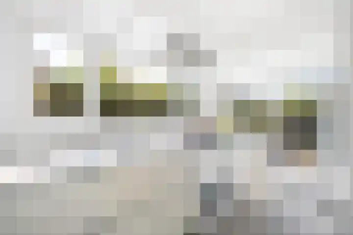 Damsigtstraat 7 Voorburg thumbnail 13