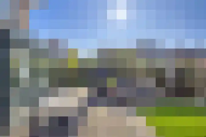 Damsigtstraat 7 Voorburg foto 2