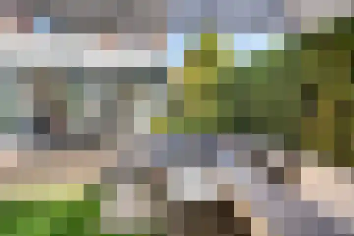 Damsigtstraat 7 Voorburg thumbnail 21