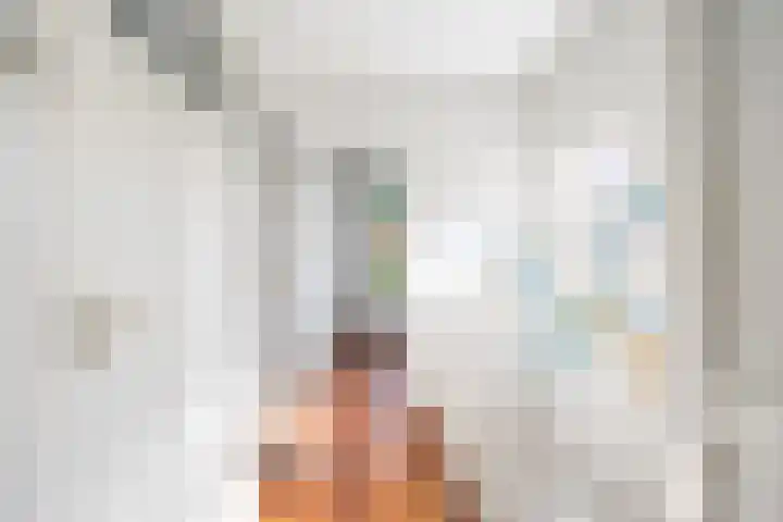 Damsigtstraat 7 Voorburg thumbnail 23