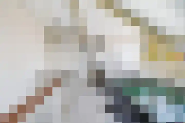 Damsigtstraat 7 Voorburg thumbnail 33