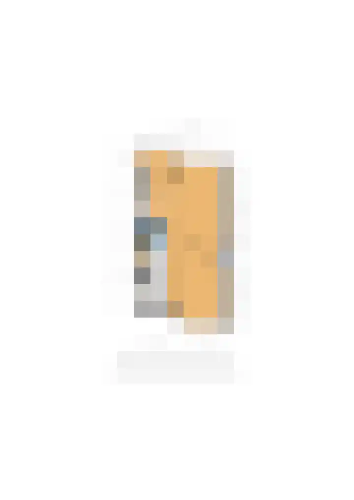 Damsigtstraat 7 Voorburg thumbnail 38