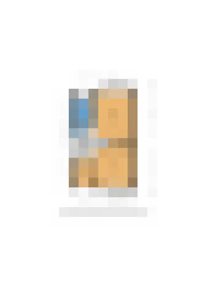 Damsigtstraat 7 Voorburg thumbnail 39