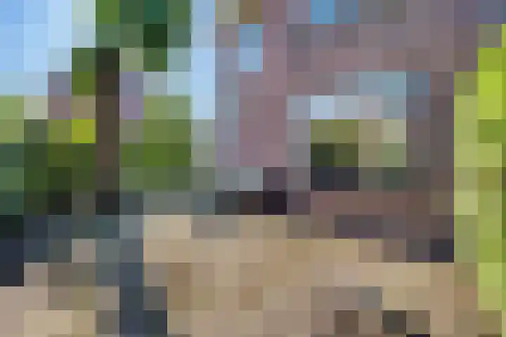 Damsigtstraat 7 Voorburg thumbnail 6