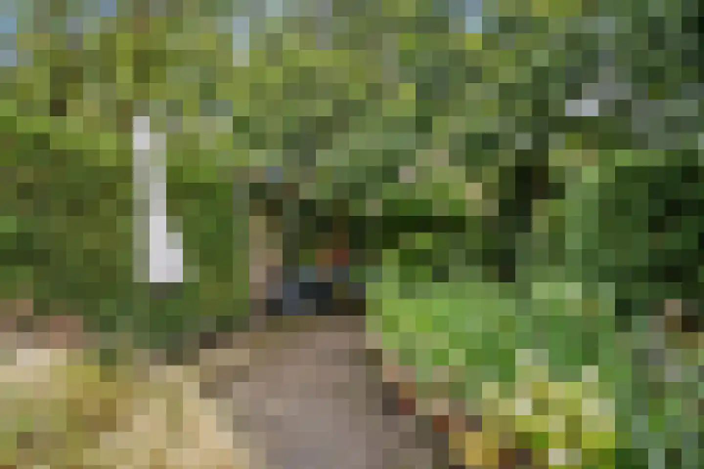 Damsigtstraat 8 Voorburg thumbnail 17