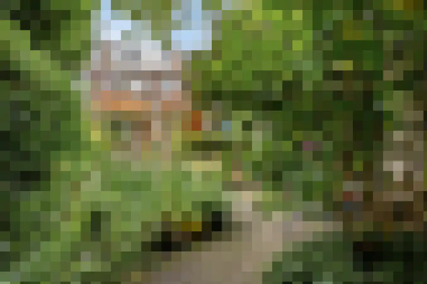 Damsigtstraat 8 Voorburg thumbnail 21
