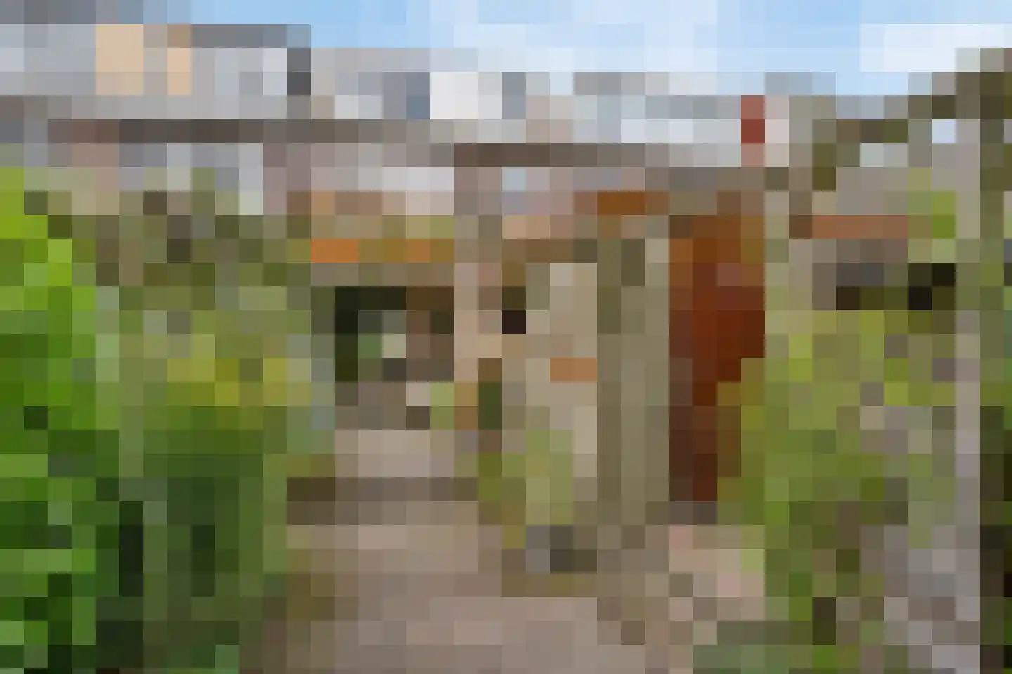 Damsigtstraat 8 Voorburg thumbnail 23