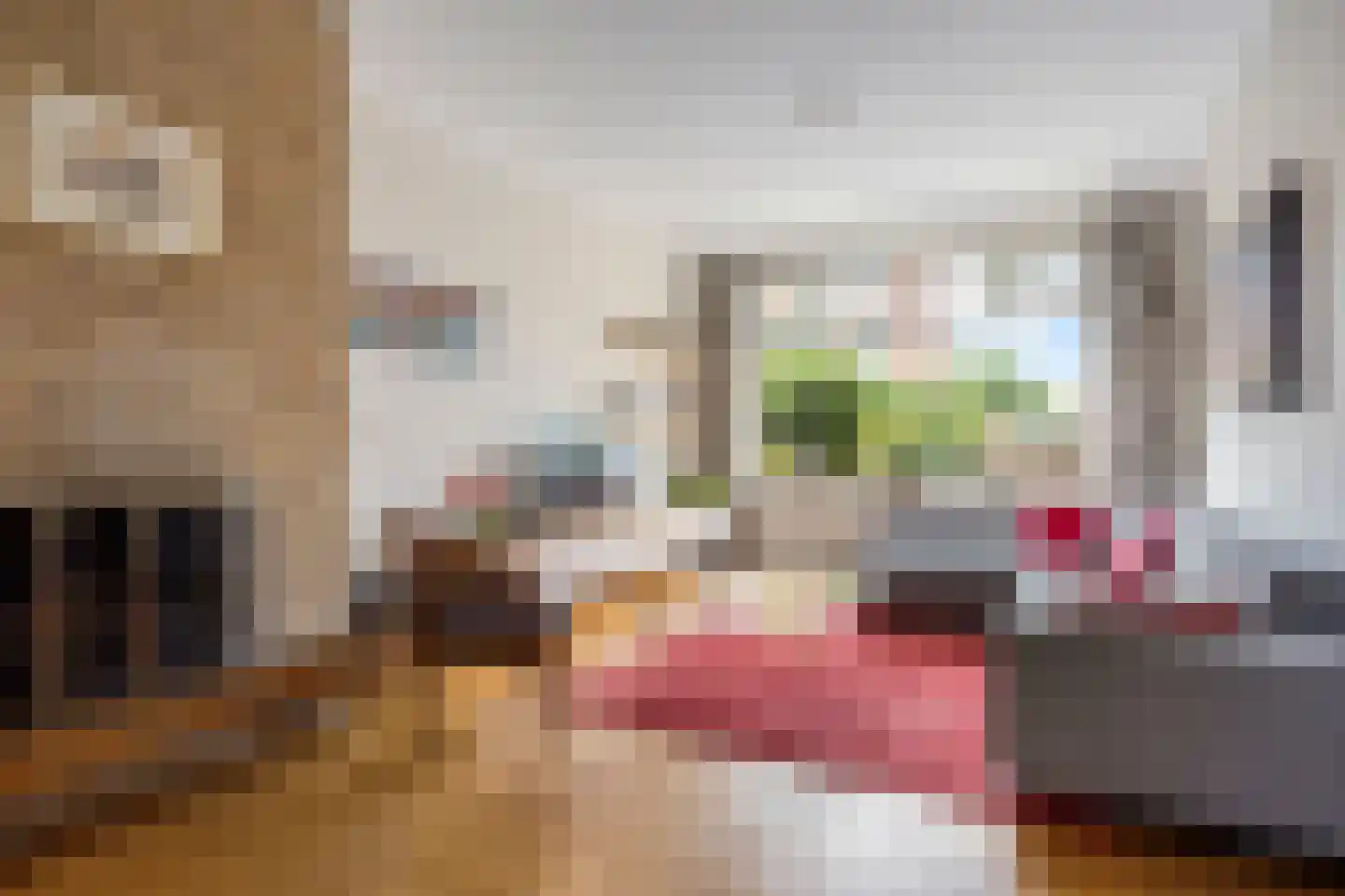 Damsigtstraat 8 Voorburg thumbnail 29