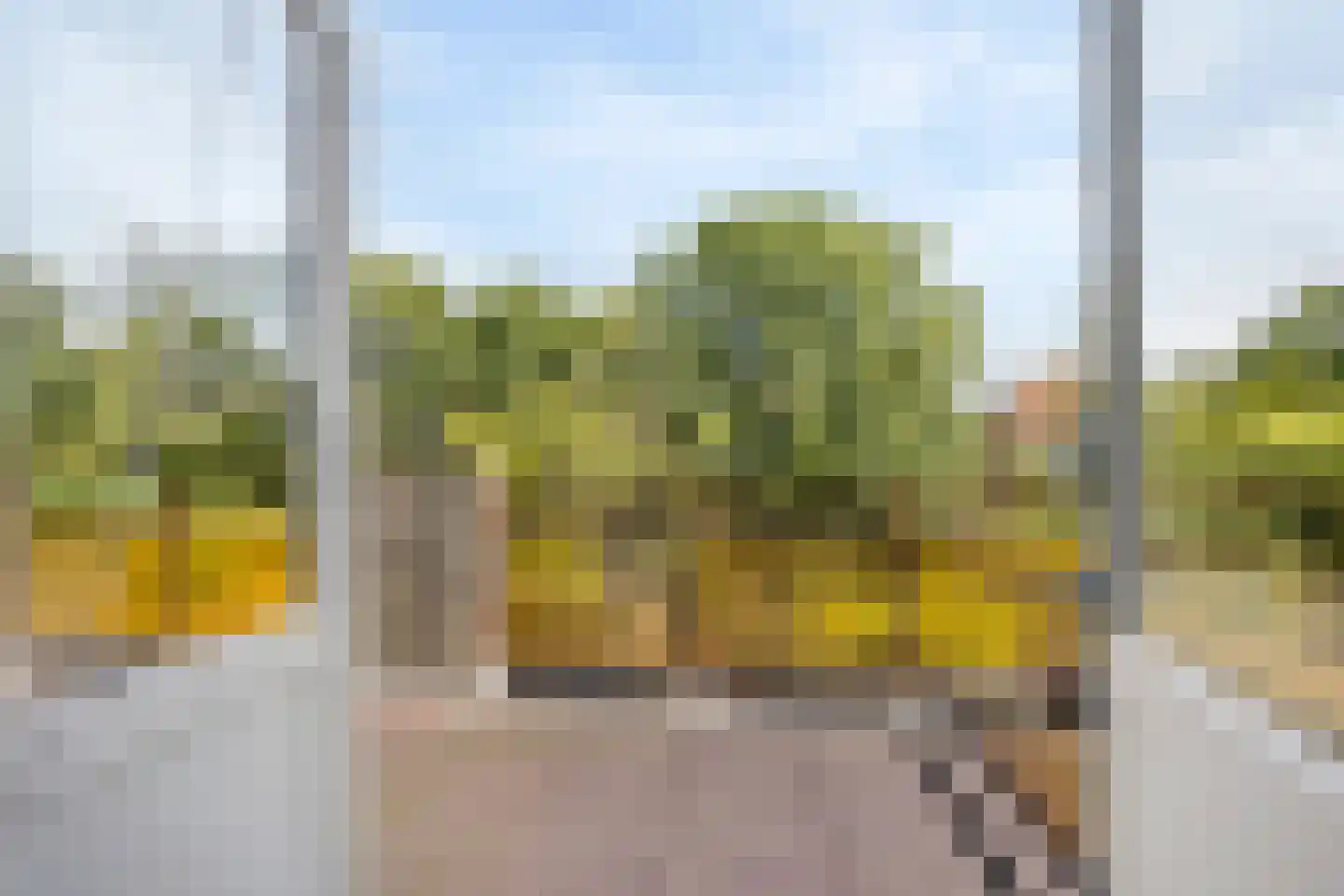 Damsigtstraat 8 Voorburg thumbnail 34