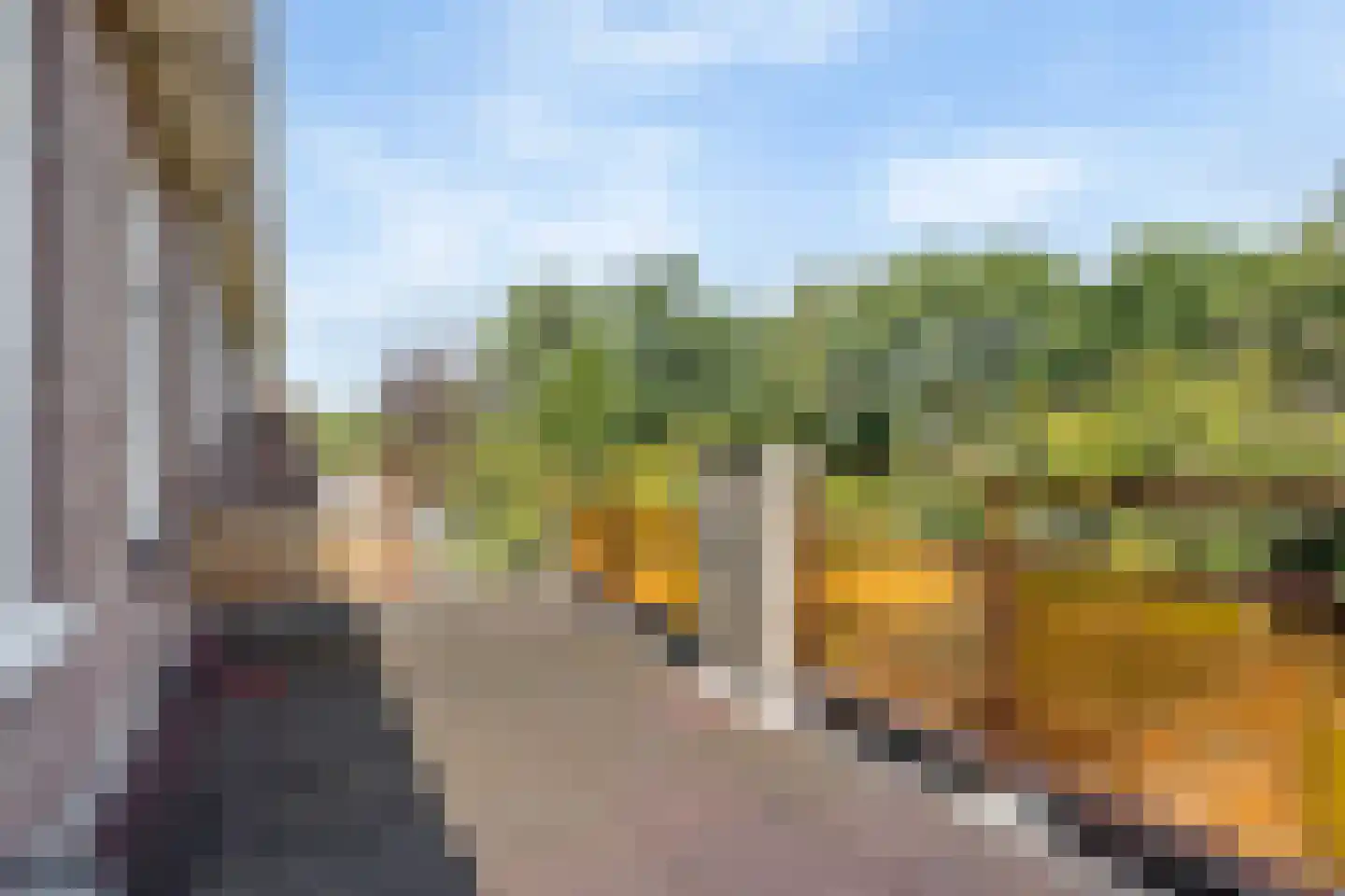 Damsigtstraat 8 Voorburg thumbnail 35