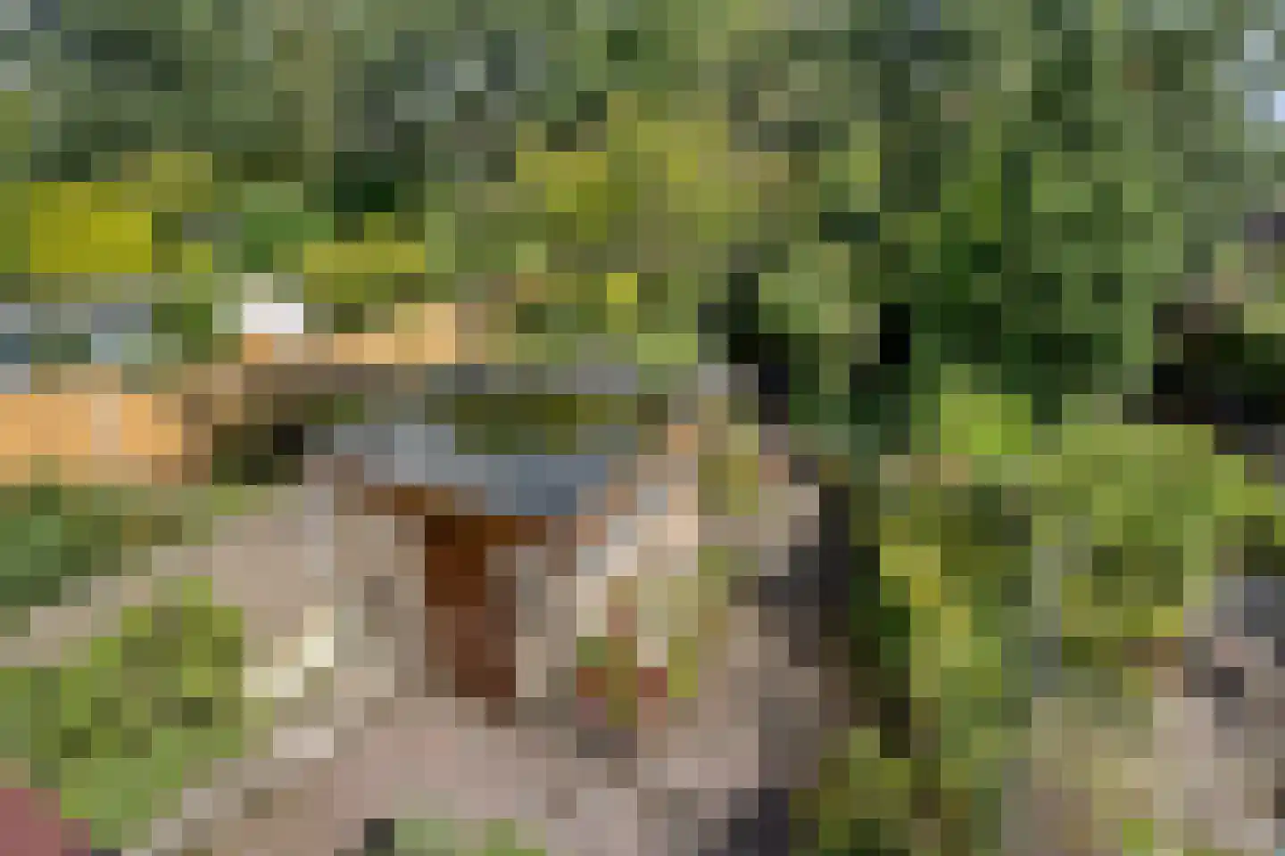 Damsigtstraat 8 Voorburg thumbnail 36
