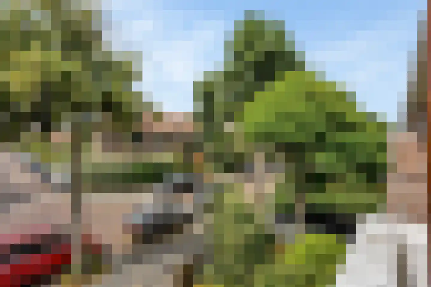 Damsigtstraat 8 Voorburg thumbnail 42