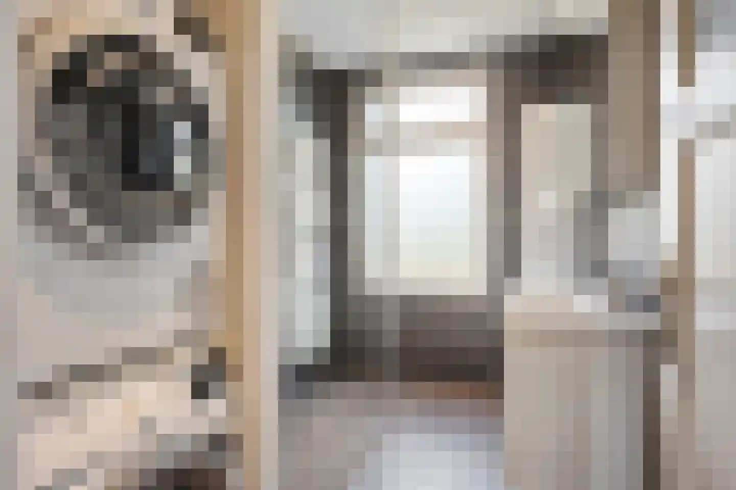 Damsigtstraat 8 Voorburg thumbnail 43