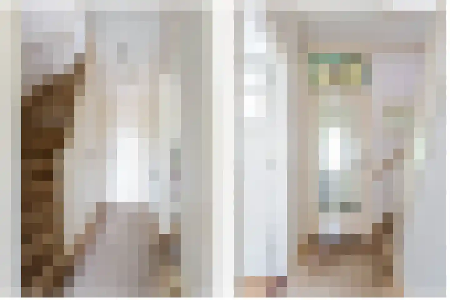 Damsigtstraat 8 Voorburg thumbnail 47