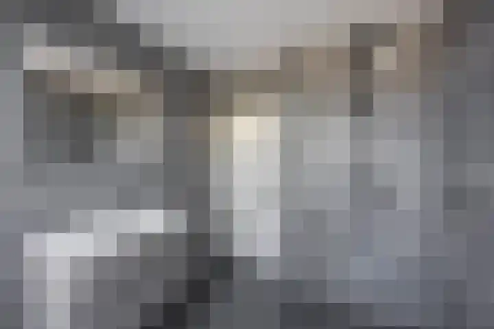 Damsterdiep 102 a Groningen thumbnail 39