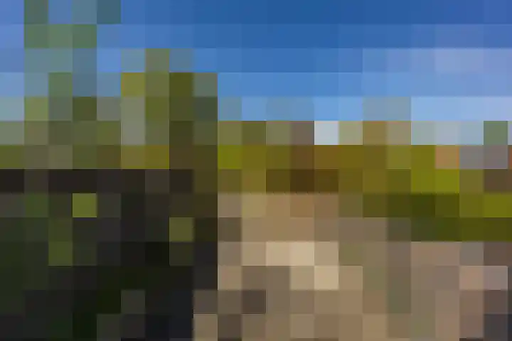Damsterdiep 102 a Groningen thumbnail 44