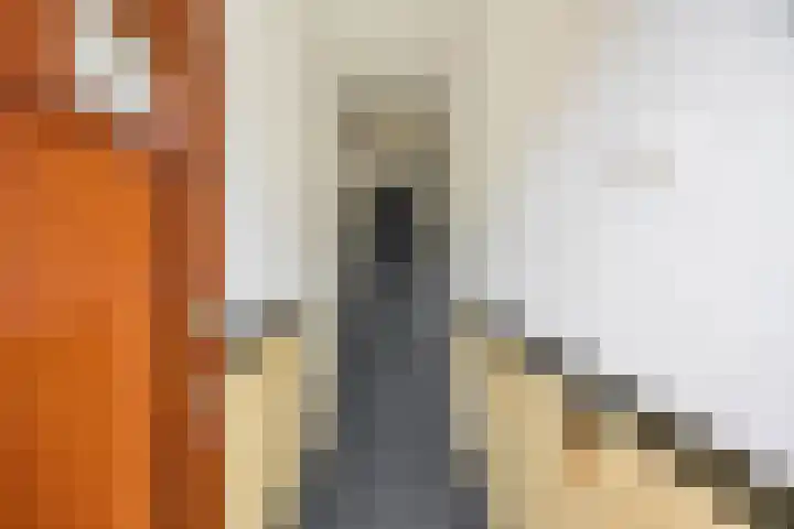 Damsterdiep 102 a Groningen thumbnail 8