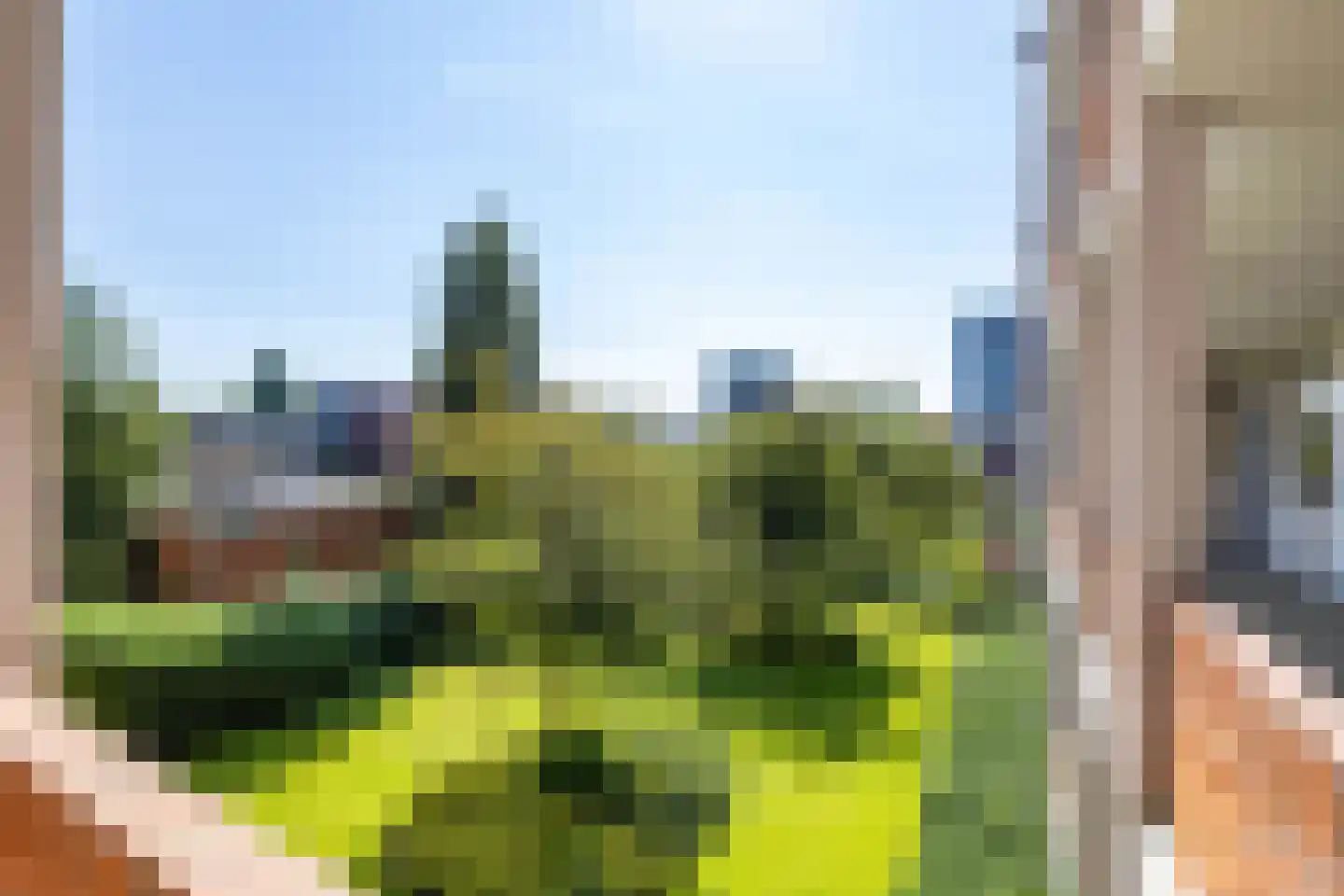 Damsterdiep 109 Groningen thumbnail 10