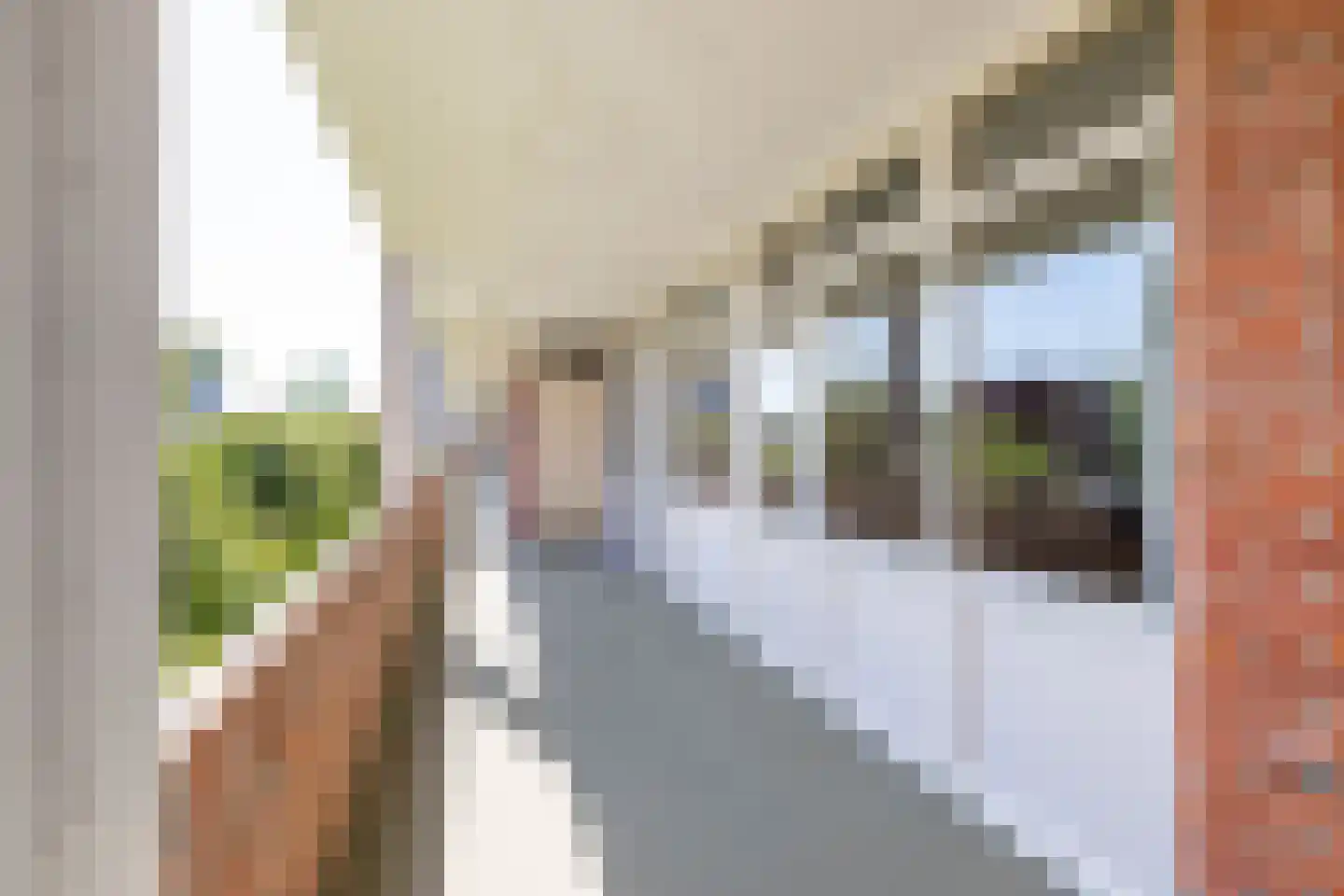 Damsterdiep 109 Groningen thumbnail 11