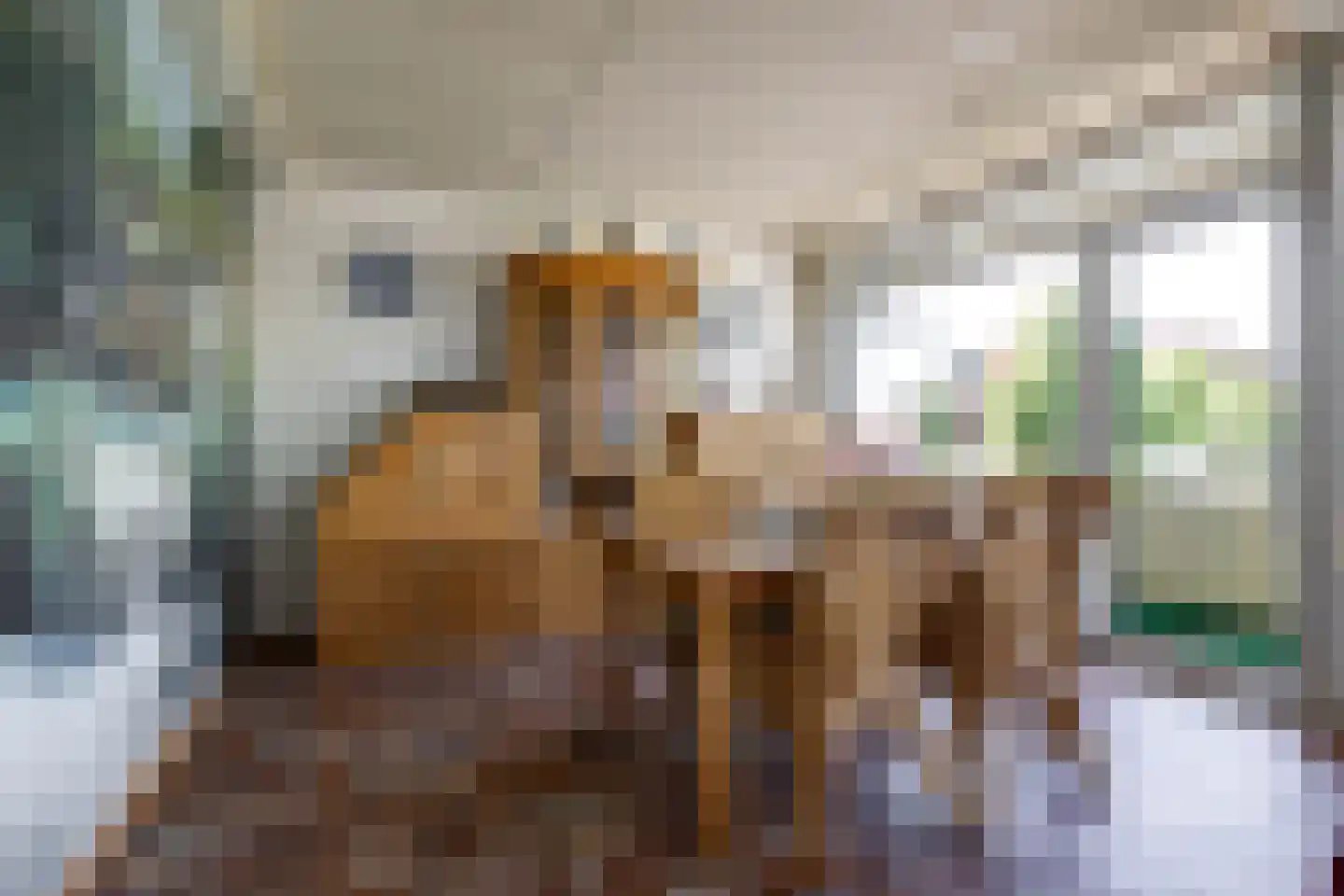 Damsterdiep 109 Groningen thumbnail 26