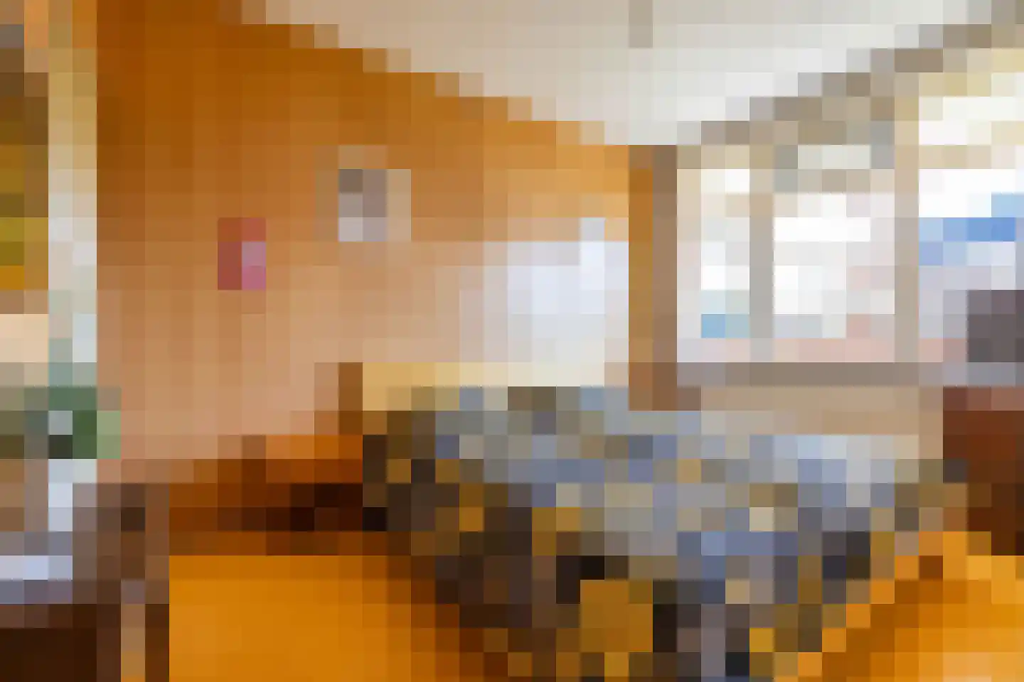 Damsterdiep 109 Groningen thumbnail 31