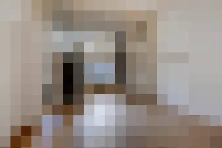 Damsterdiep 11 a Groningen thumbnail 14