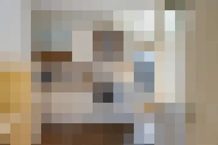 Damsterdiep 11 a Groningen thumbnail 20