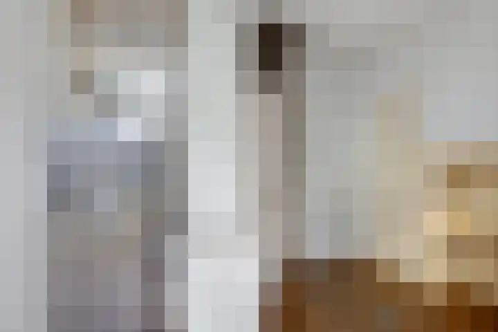 Damsterdiep 11 a Groningen thumbnail 21