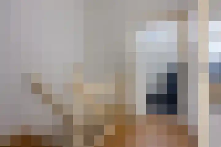 Damsterdiep 11 a Groningen thumbnail 26