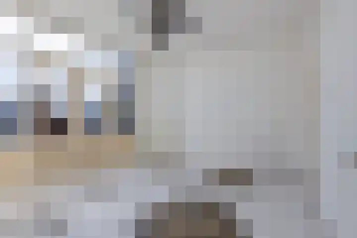 Damsterdiep 11 a Groningen thumbnail 30