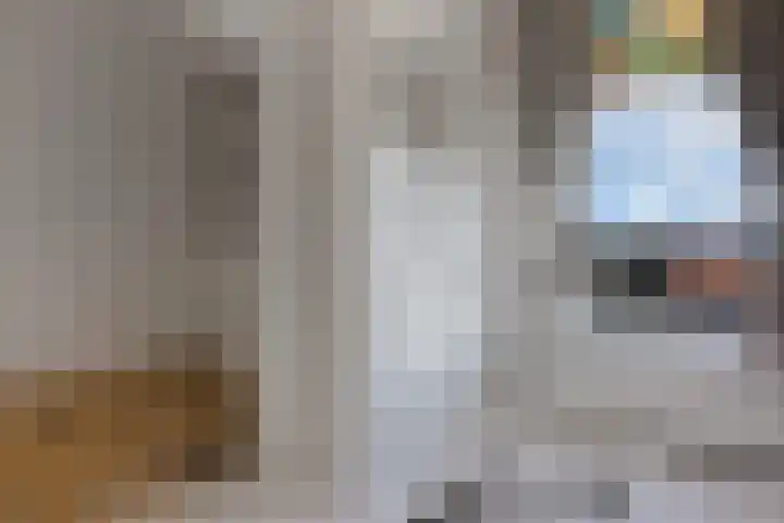Damsterdiep 11 a Groningen thumbnail 38