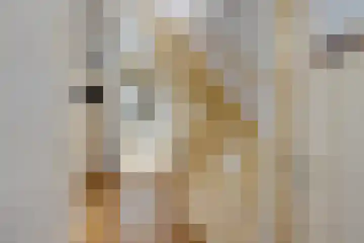 Damsterdiep 11 a Groningen thumbnail 4