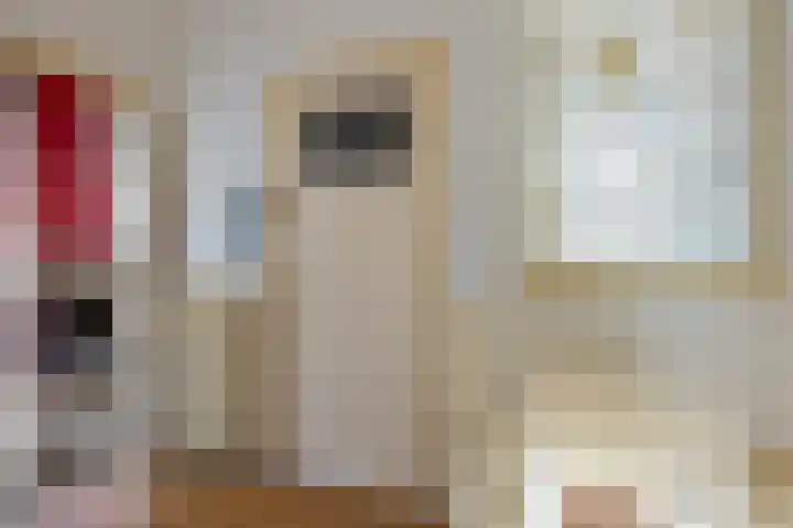 Damsterdiep 11 a Groningen thumbnail 8