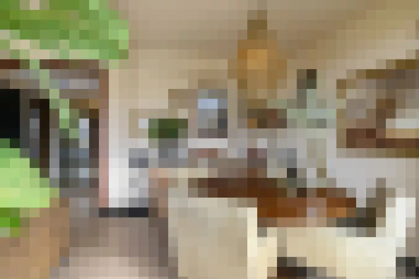 Damsterdiep 131 Groningen thumbnail 17