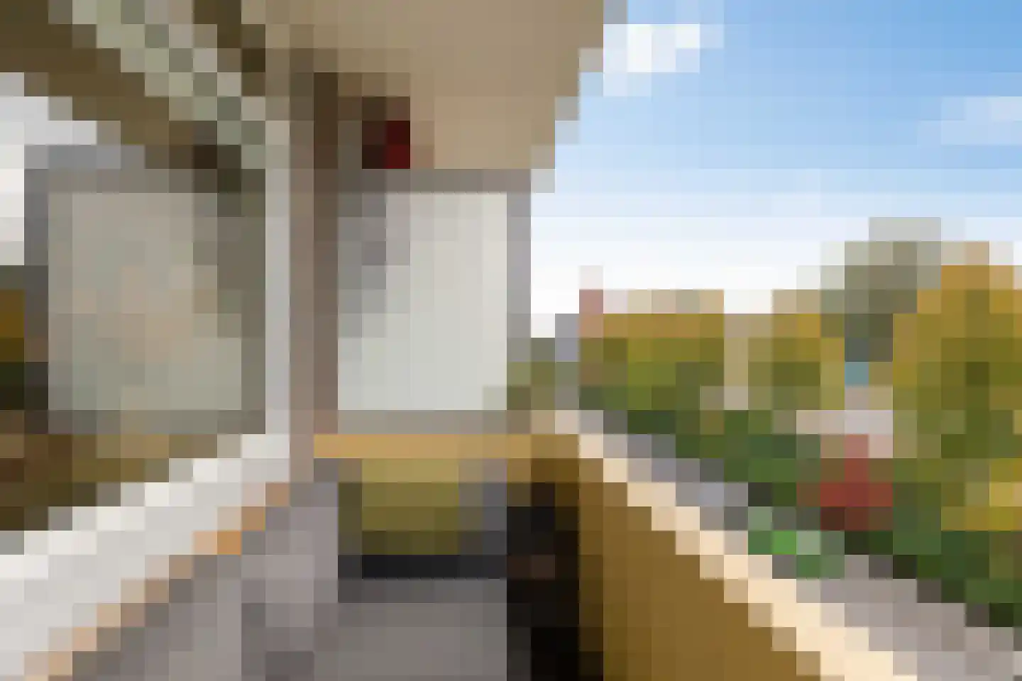Damsterdiep 131 Groningen thumbnail 18
