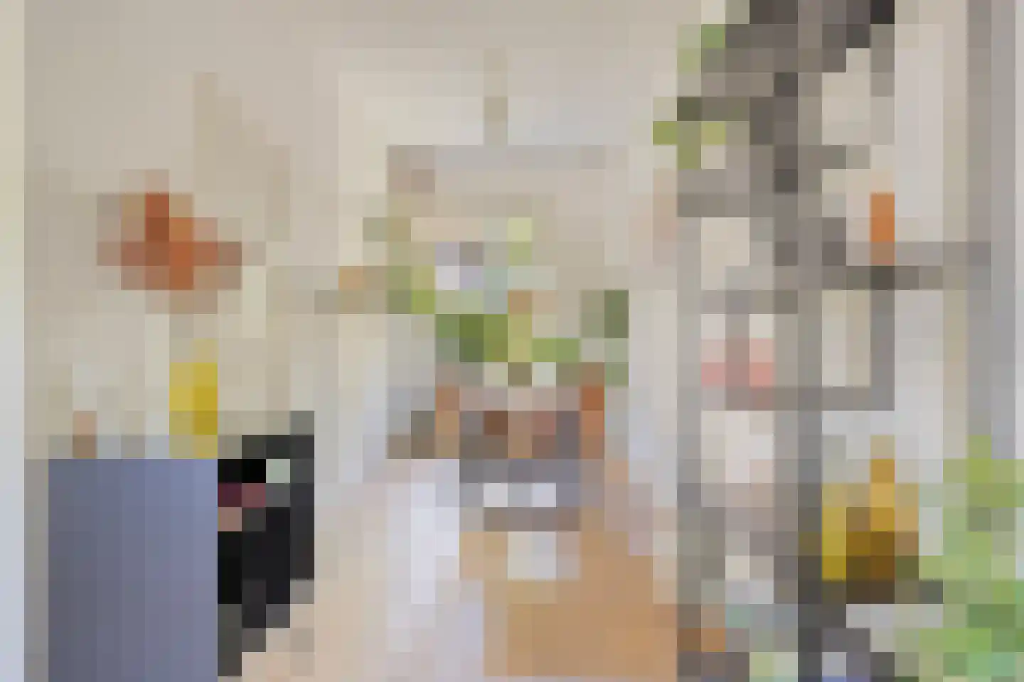 Damsterdiep 138 Groningen thumbnail 19