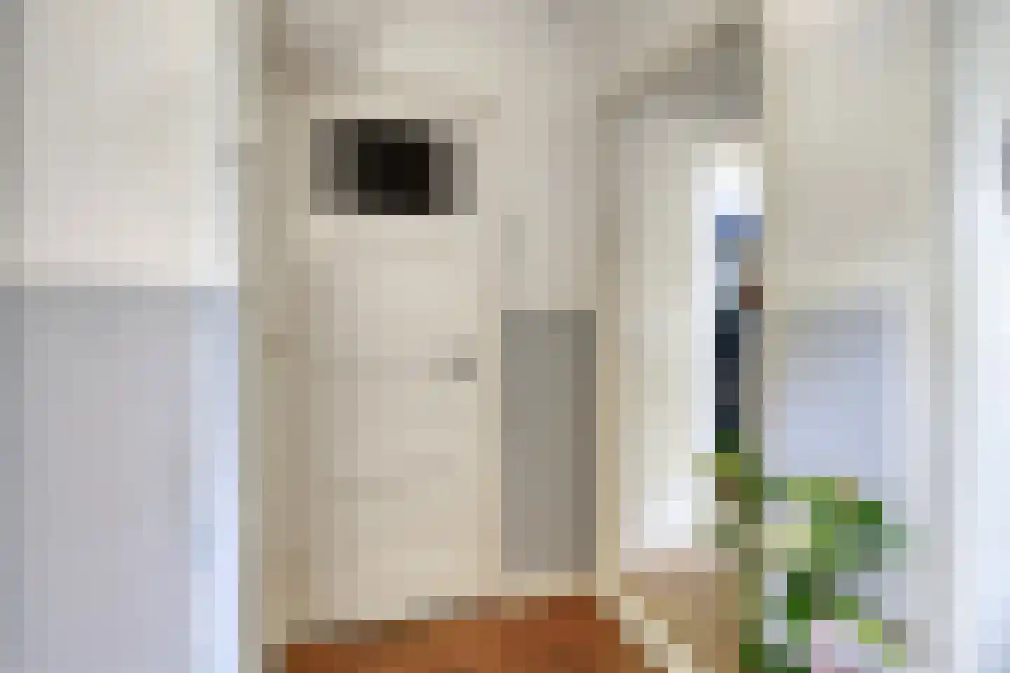 Damsterdiep 138 Groningen thumbnail 25