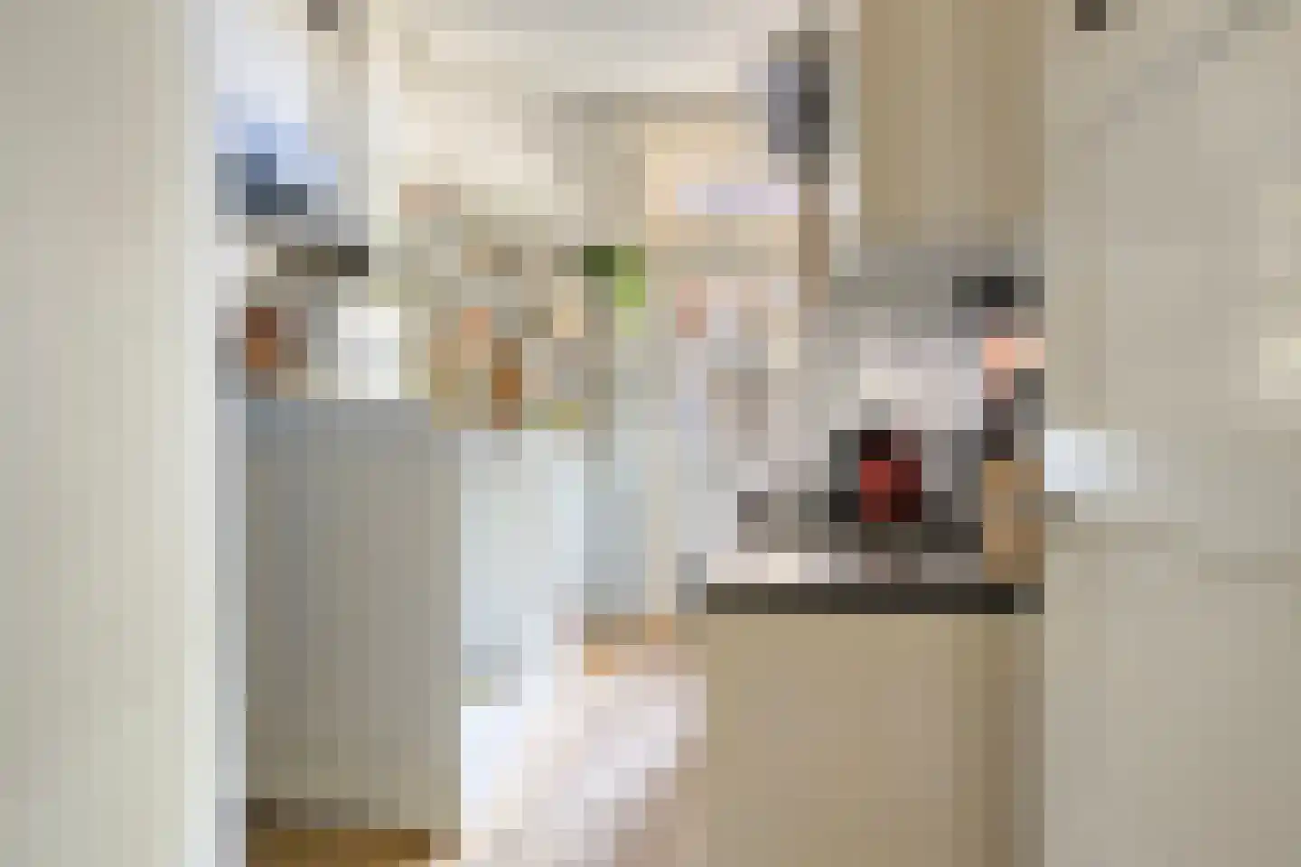 Damsterdiep 138 Groningen thumbnail 26