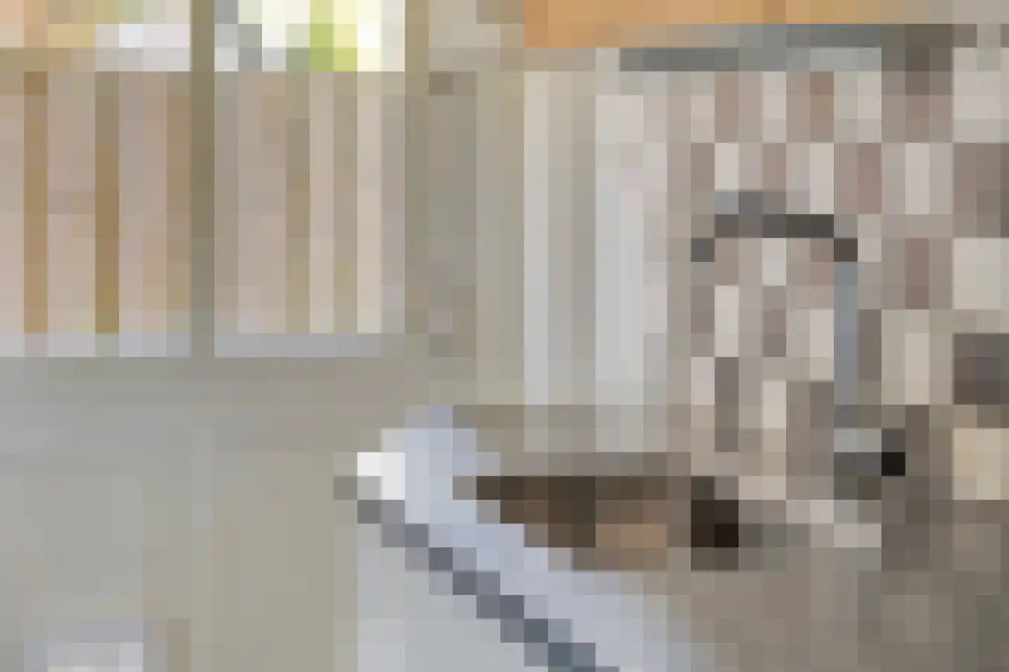 Damsterdiep 138 Groningen thumbnail 29