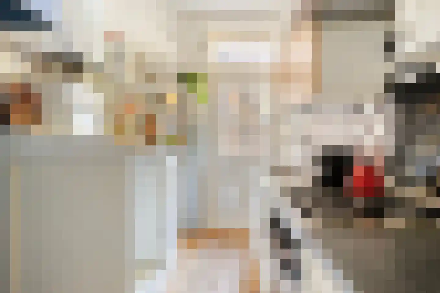 Damsterdiep 138 Groningen thumbnail 30