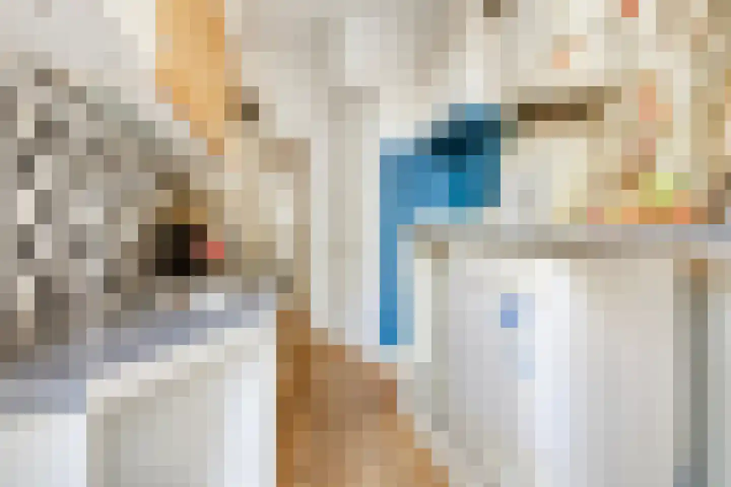 Damsterdiep 138 Groningen thumbnail 31