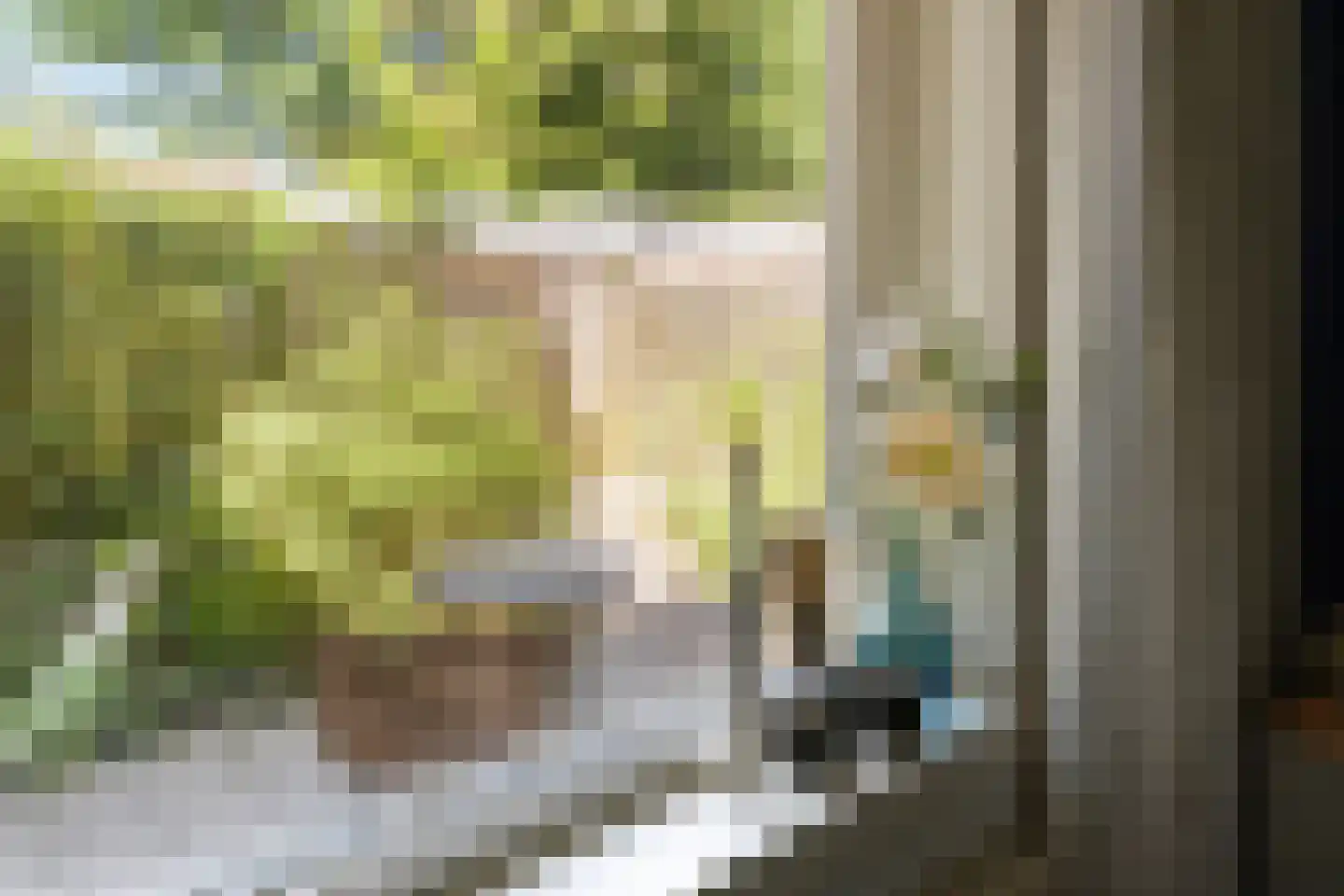 Damsterdiep 138 Groningen thumbnail 35