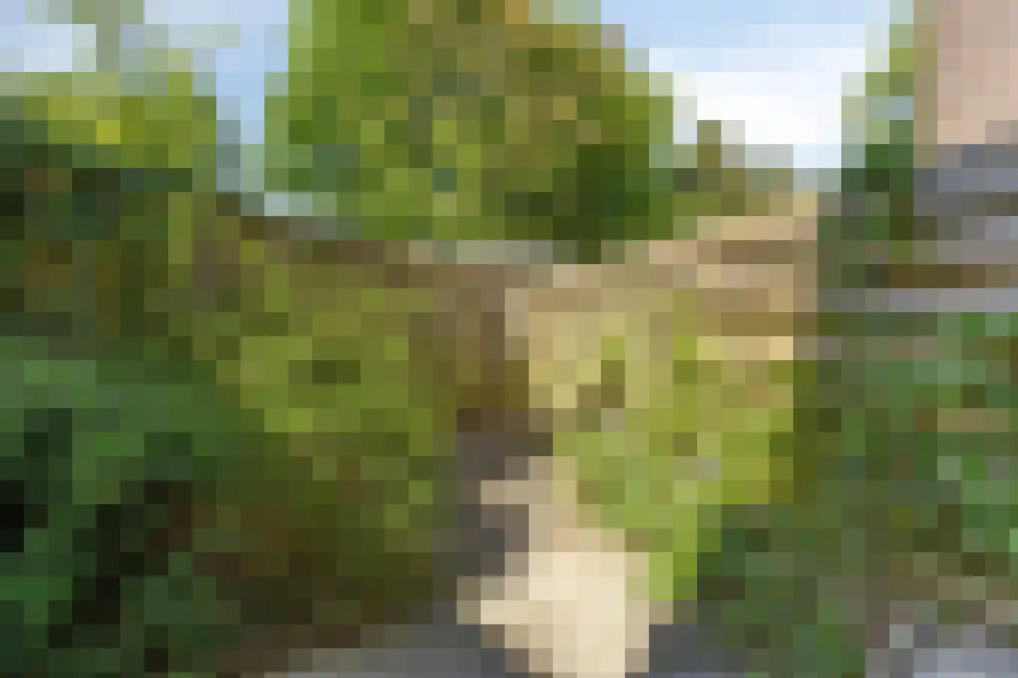 Damsterdiep 138 Groningen thumbnail 40