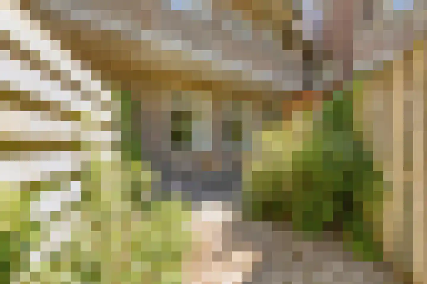Damsterdiep 138 Groningen thumbnail 42