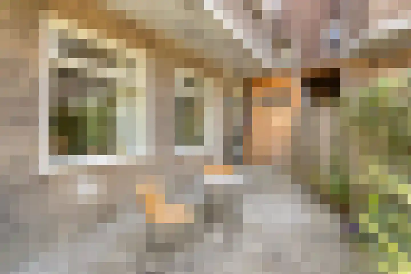 Damsterdiep 138 Groningen thumbnail 43