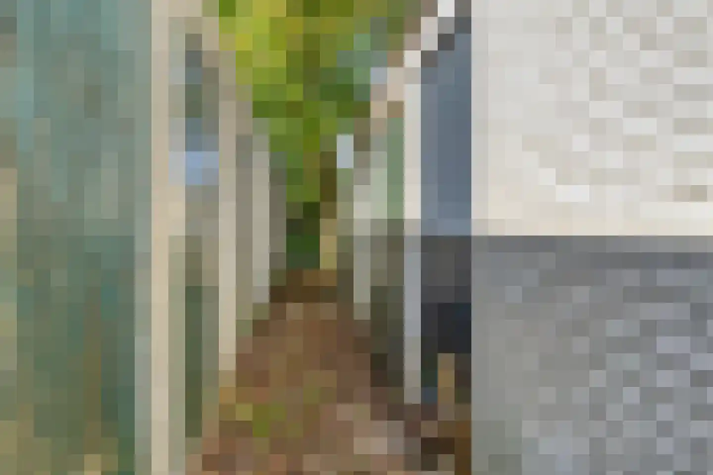 Damsterdiep 138 Groningen thumbnail 46