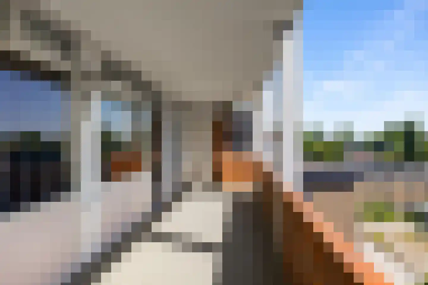 Damsterdiep 167 Groningen thumbnail 12