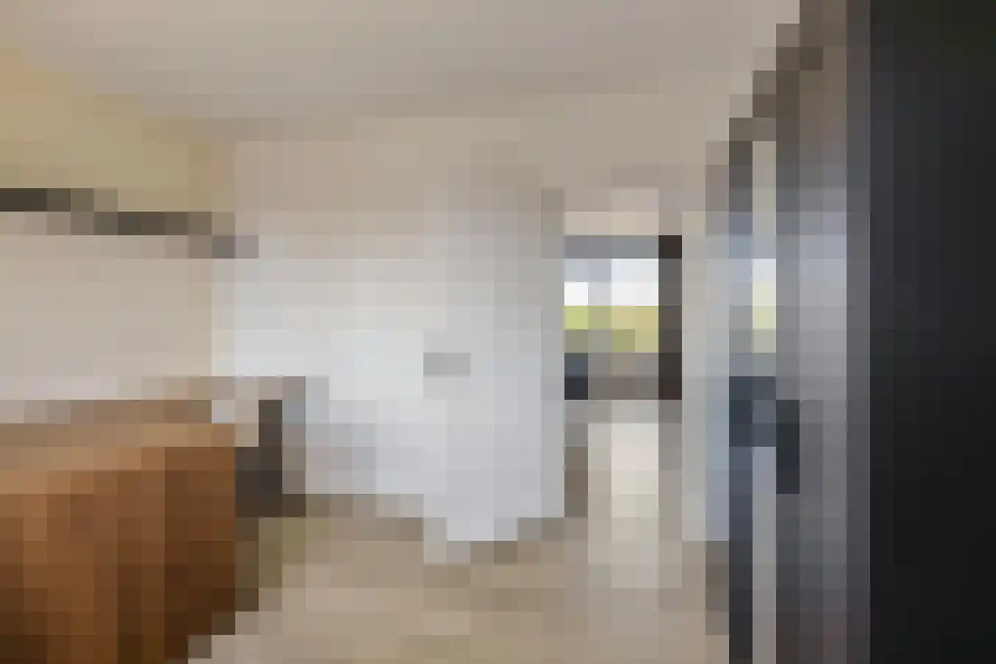 Damsterdiep 167 Groningen thumbnail 27